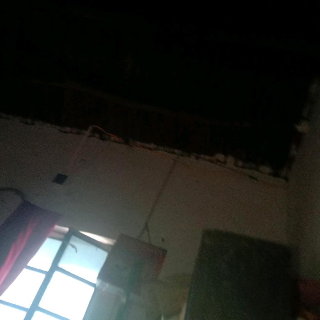 必 胡必伍老波伍