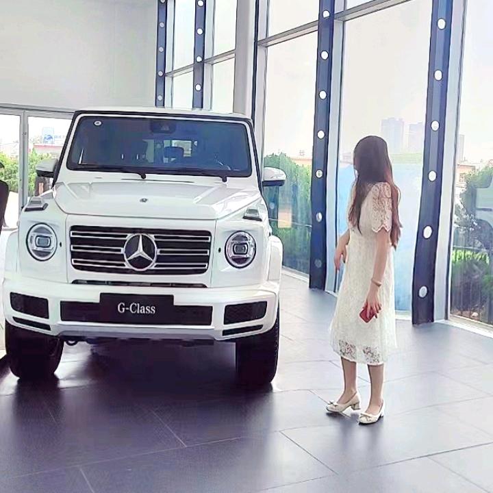 梁邱贝克汉堡牧羊宝贝乐园