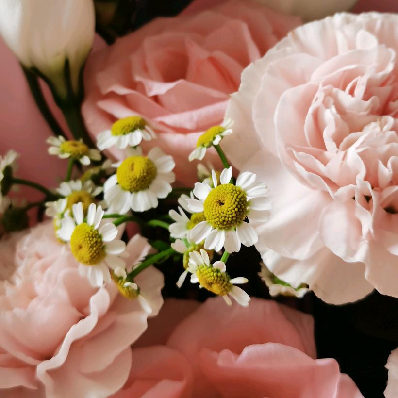 🌹❤️💋童话里的爱情(ღ˘⌣˘ღ)