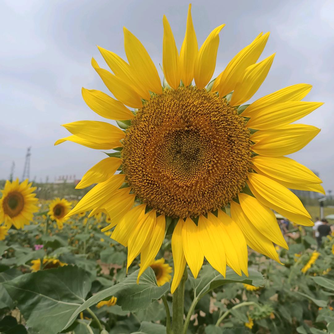 燕君经纬海尔厨卫