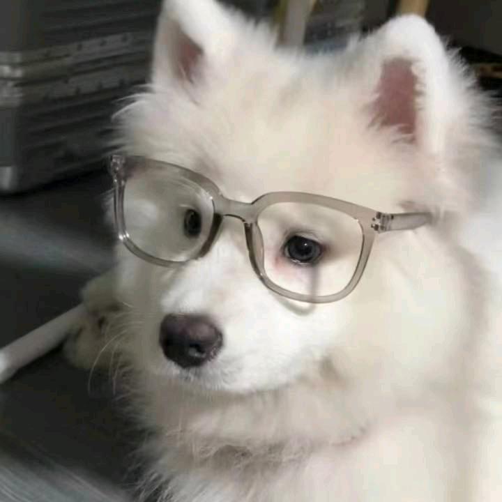 依安