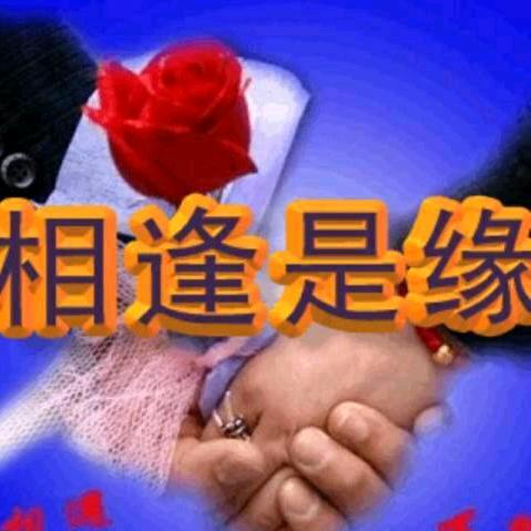 张治豪