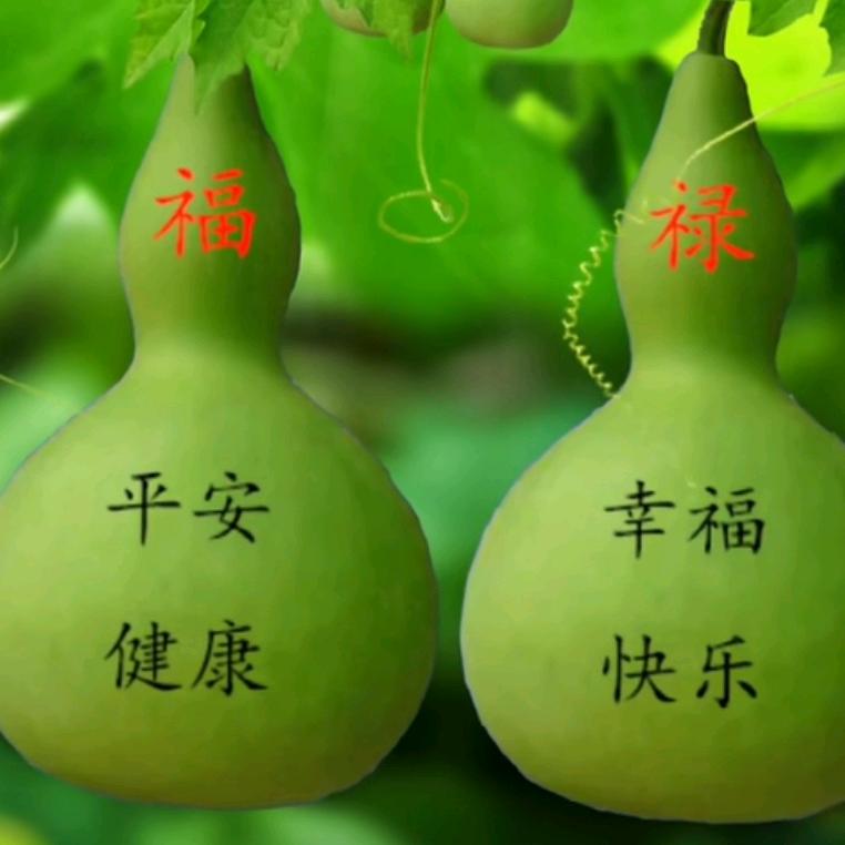 黄老师谈智慧