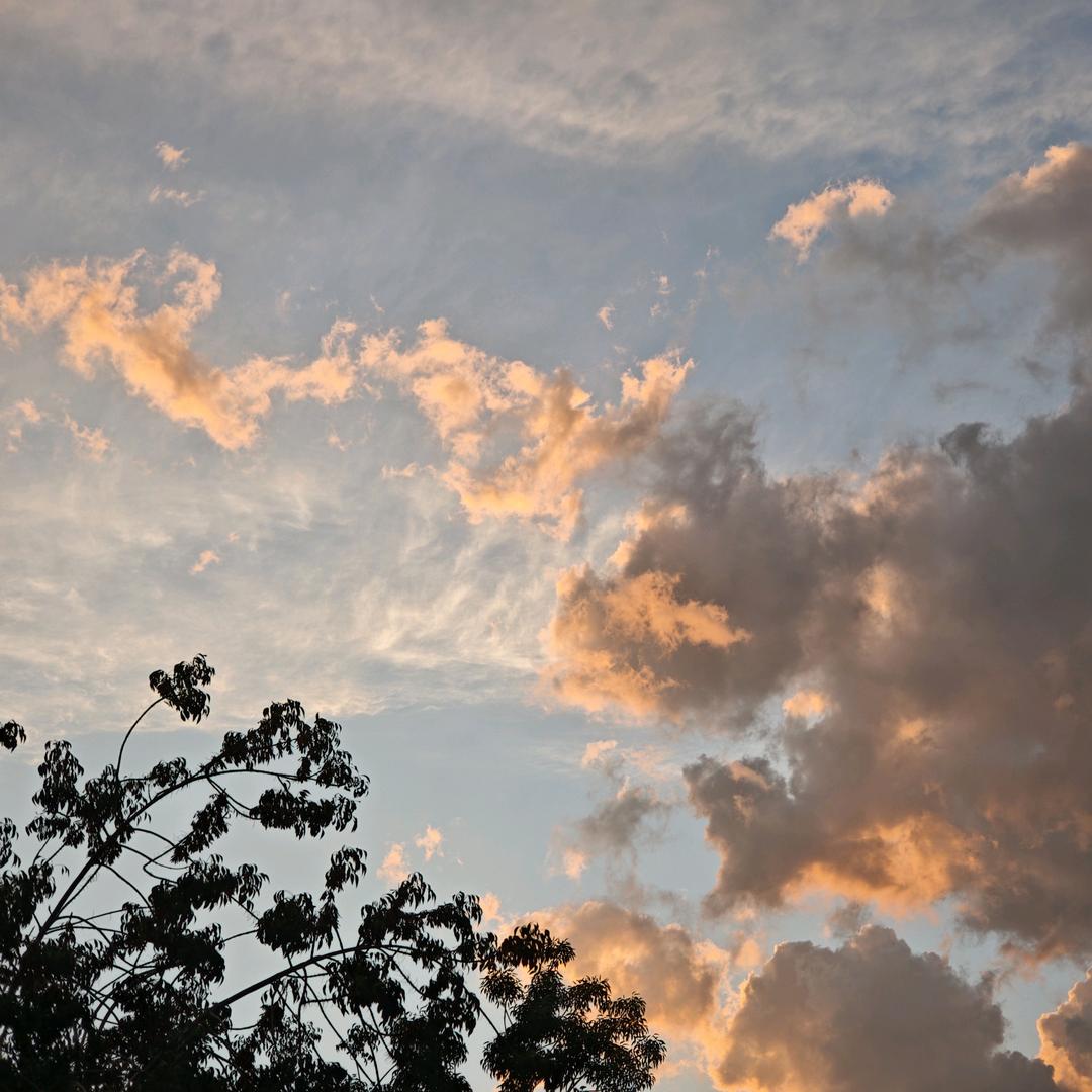 就是懒得起名字