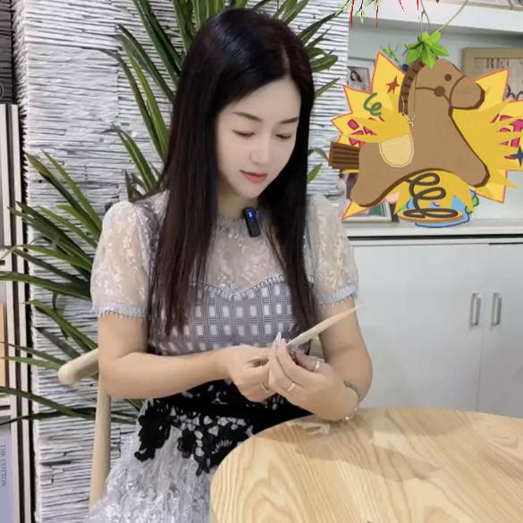 琳林探广州