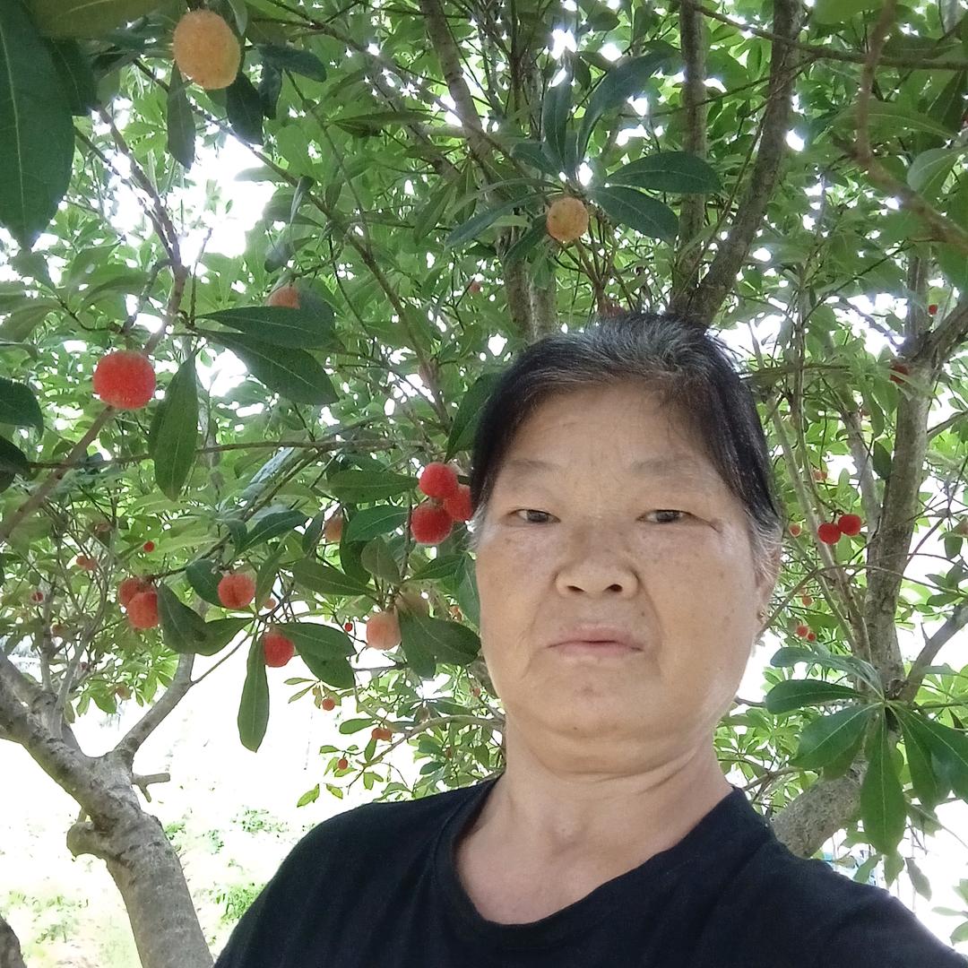 好哦努力