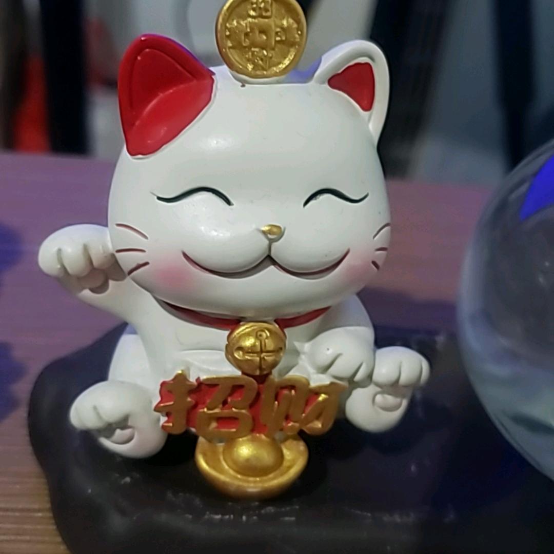 大启666