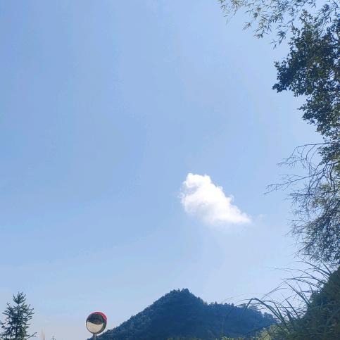 农村旅游记