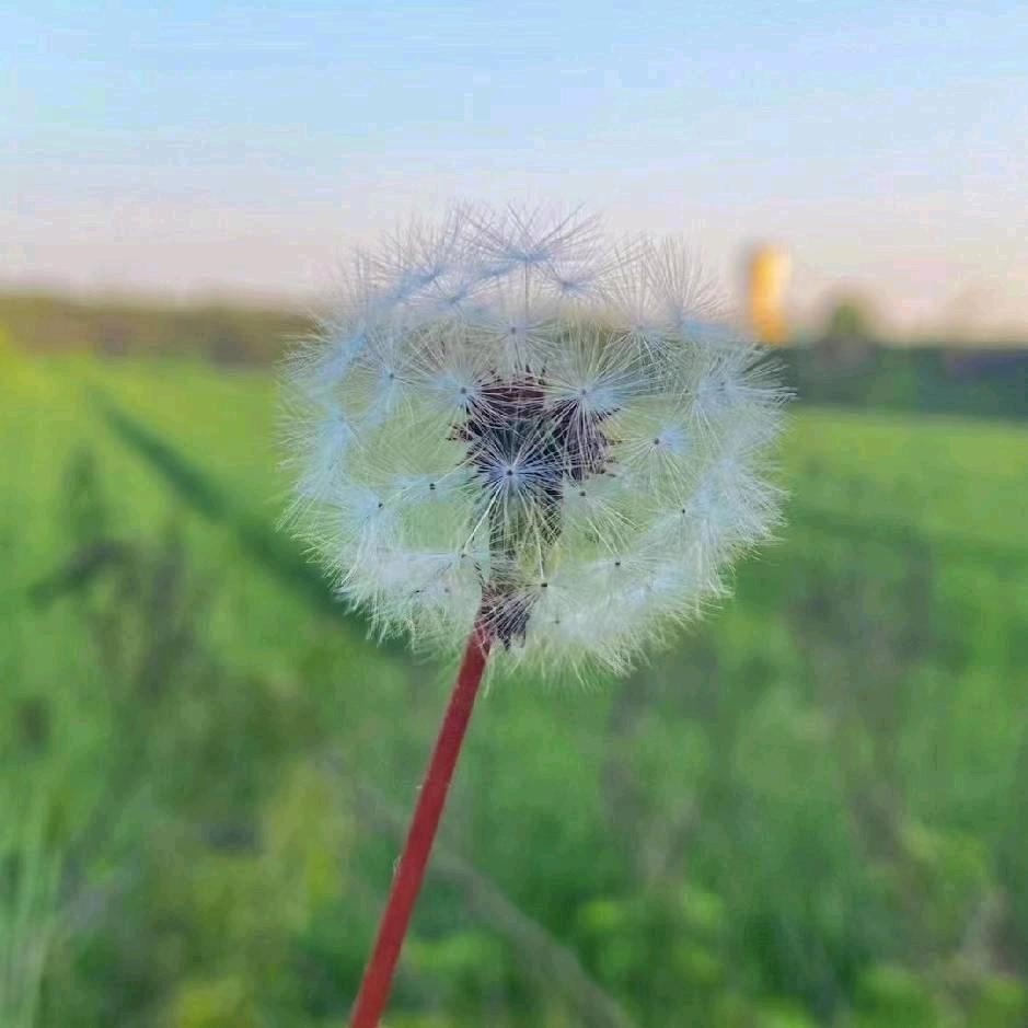 ღ᭄🔒💞酌心头ঞৣঁ᭄侯世因