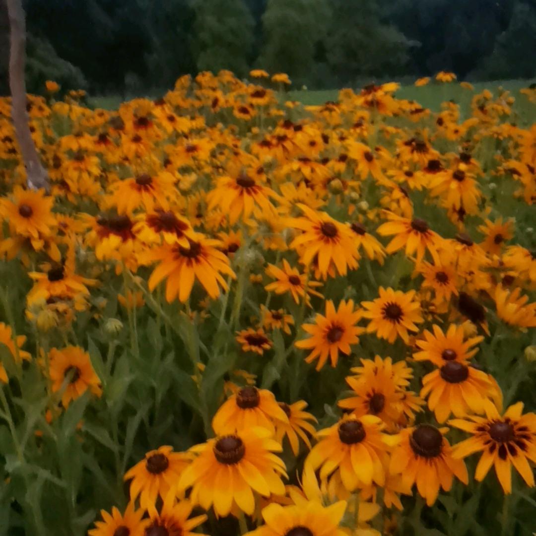 极限健身爱好者