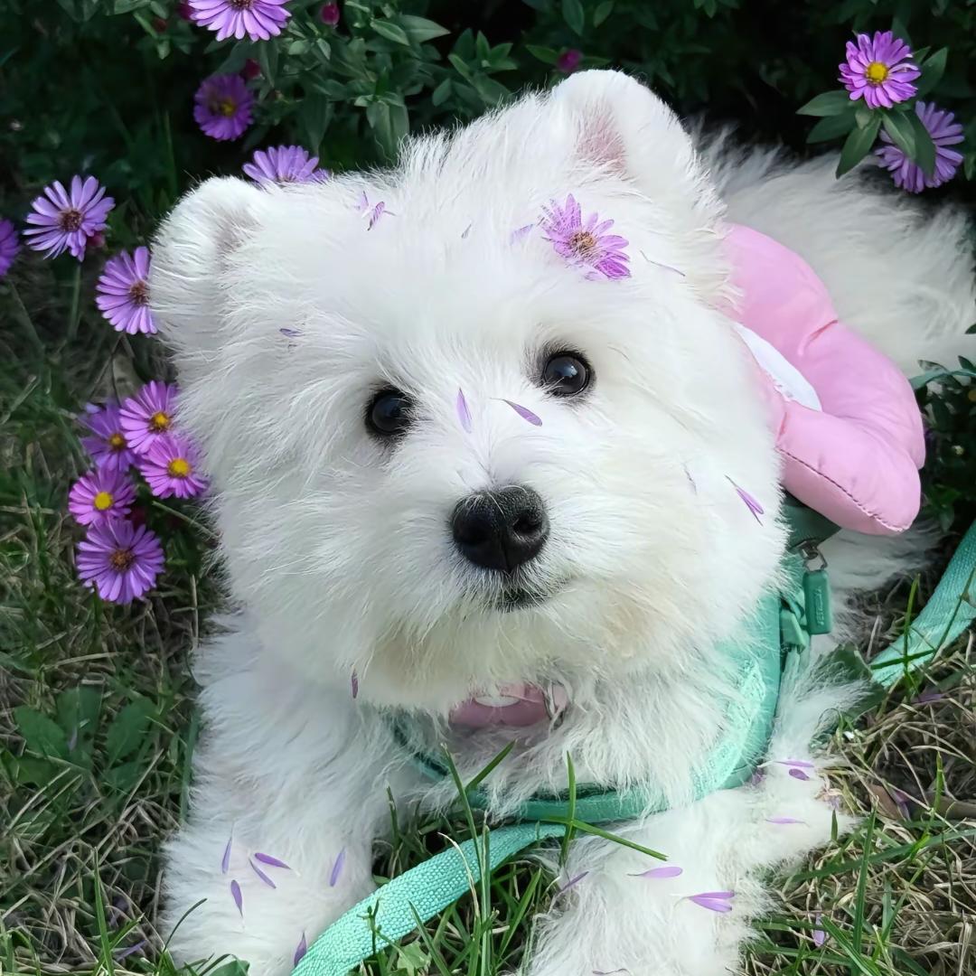 方太厨房销售顾问甜甜