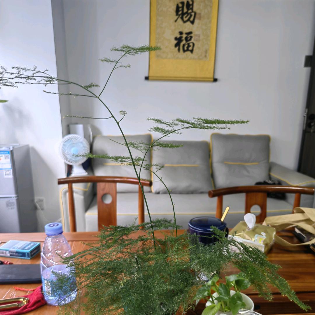 默