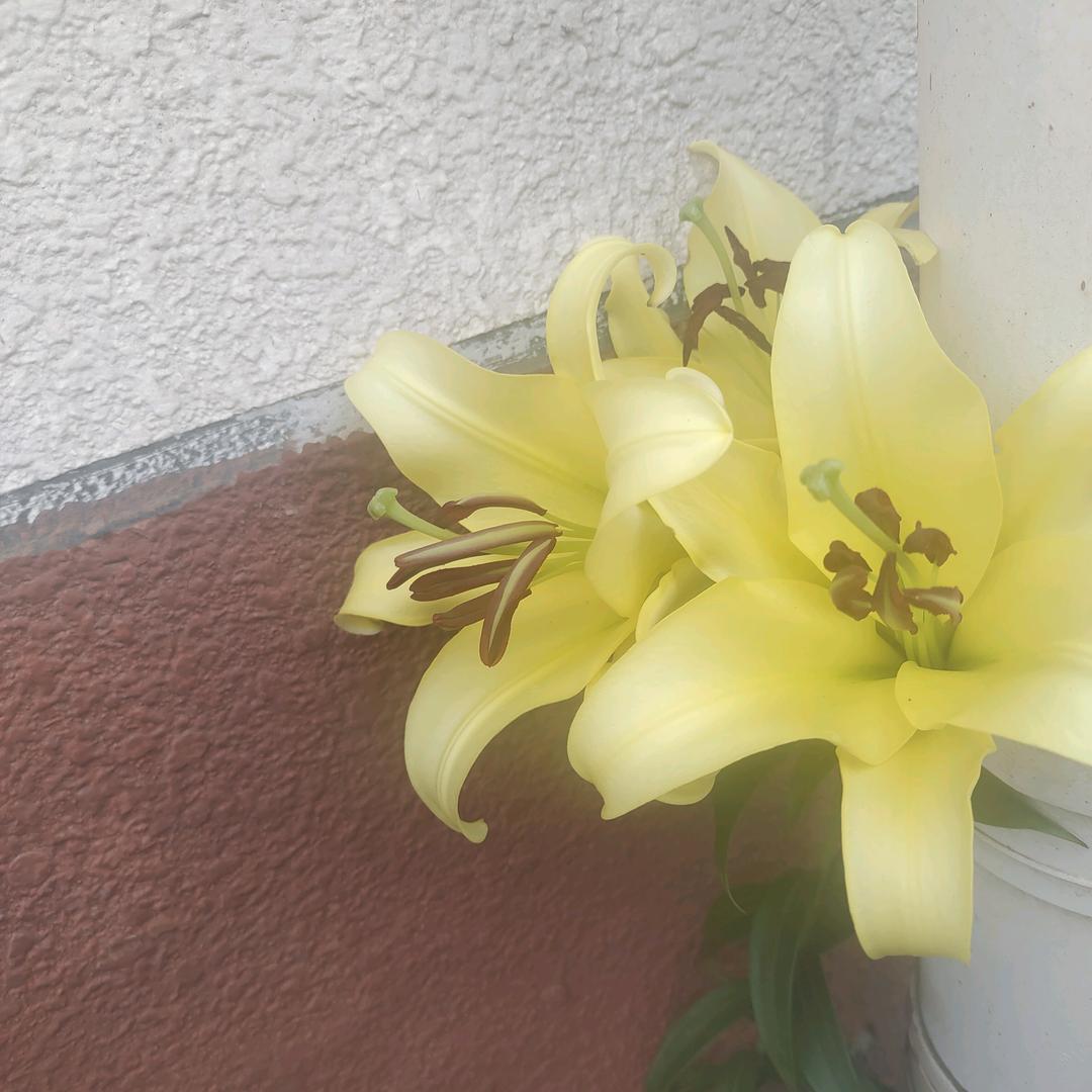 现实生活
