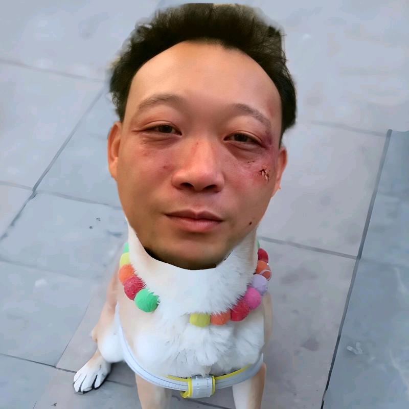 神秘人用户