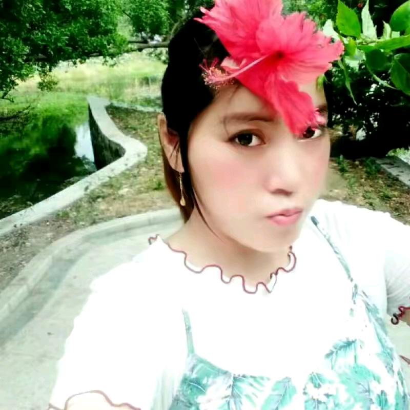 丹姿蝴蝶兰兰: