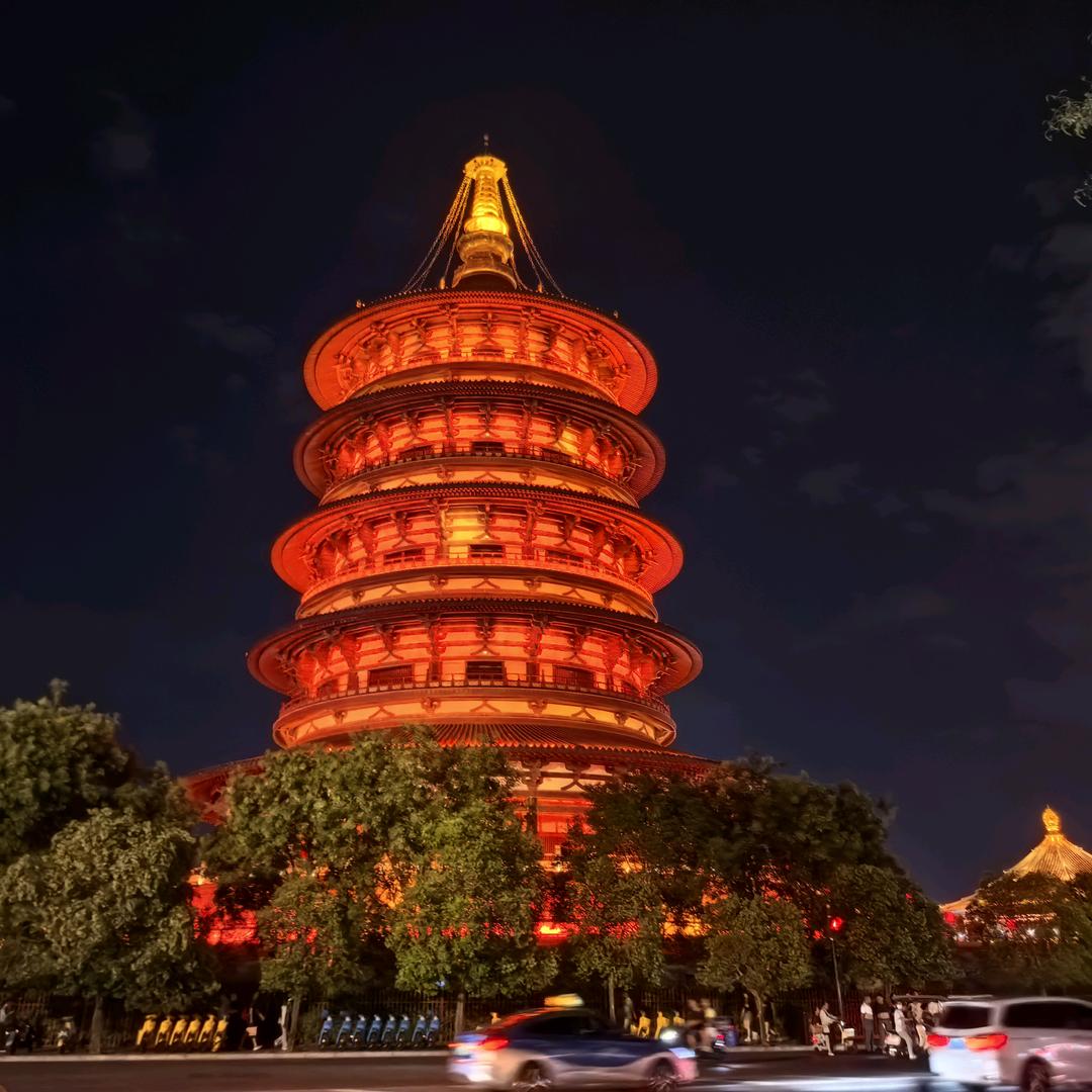 大树哥🌳