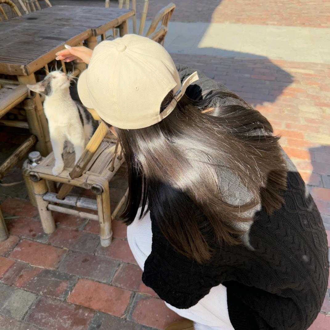 ¹米 ᩚʚʕ̯•͡˔•̯᷅ʔɞ