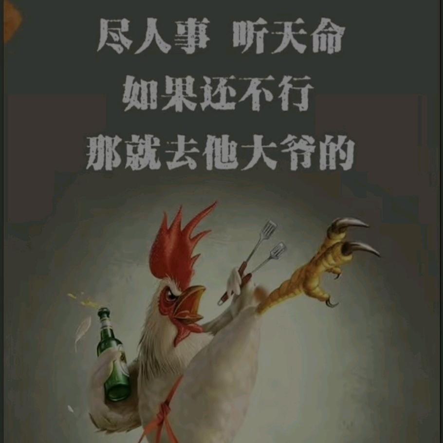 冯兄话鸡