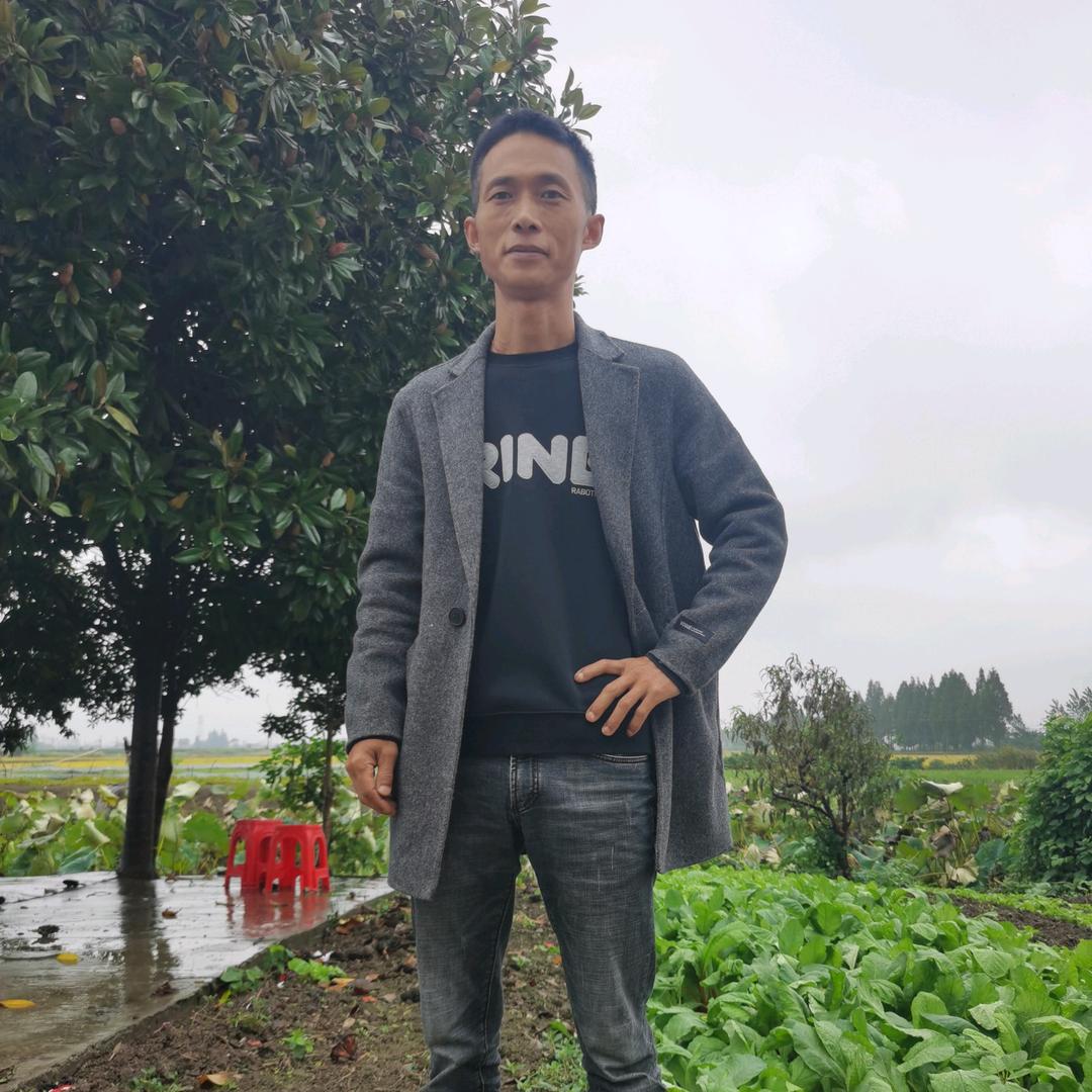 肥水养虾小涛