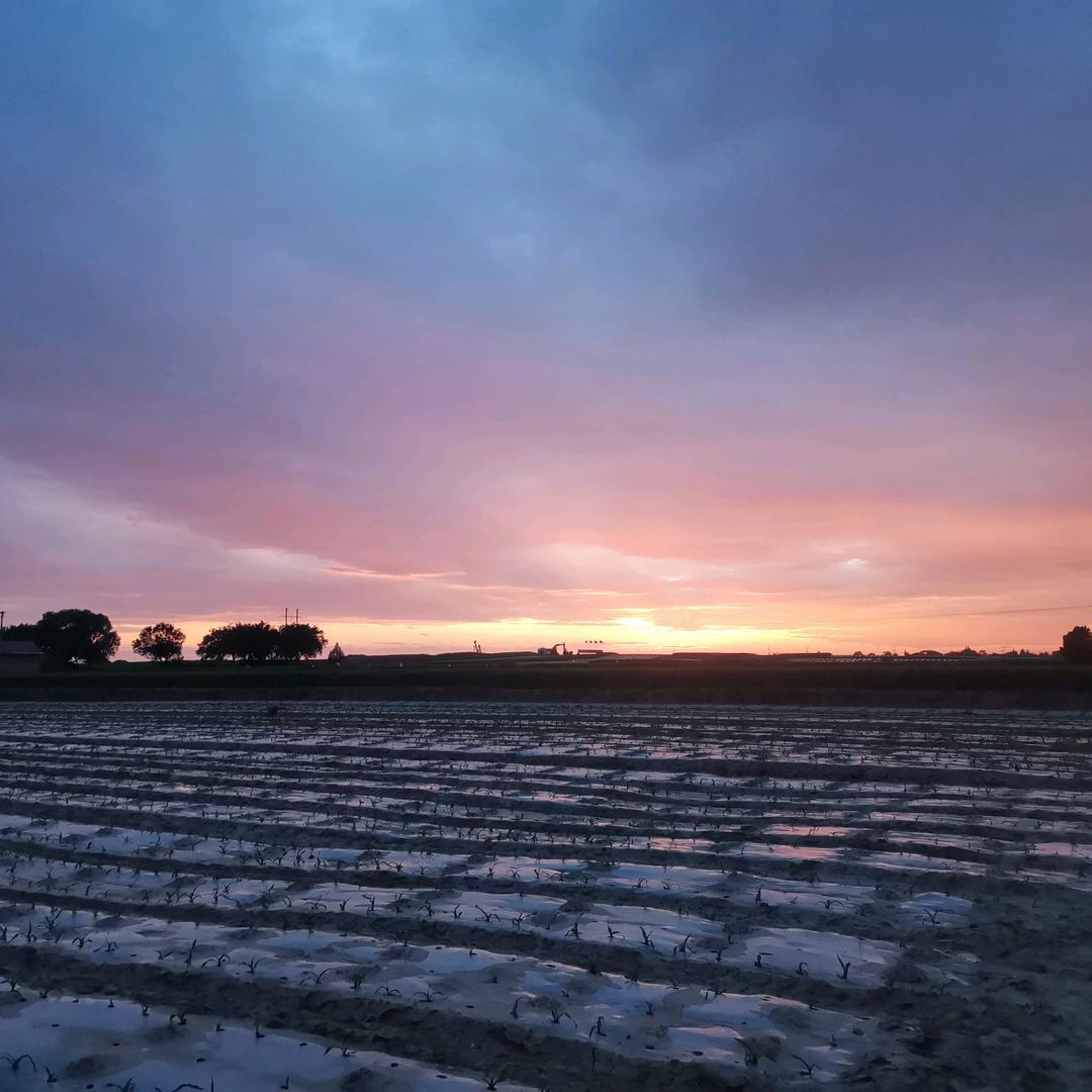 西西里的美丽传说