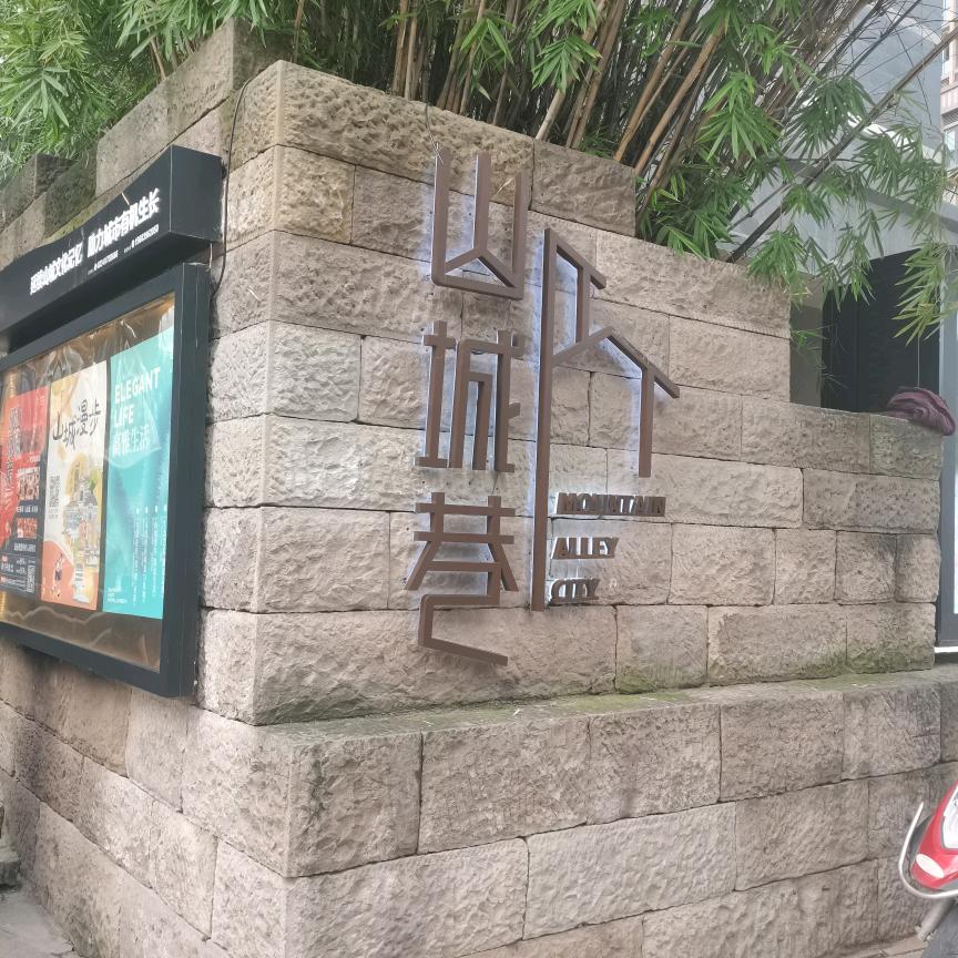 默默付出，（71—猪猪）