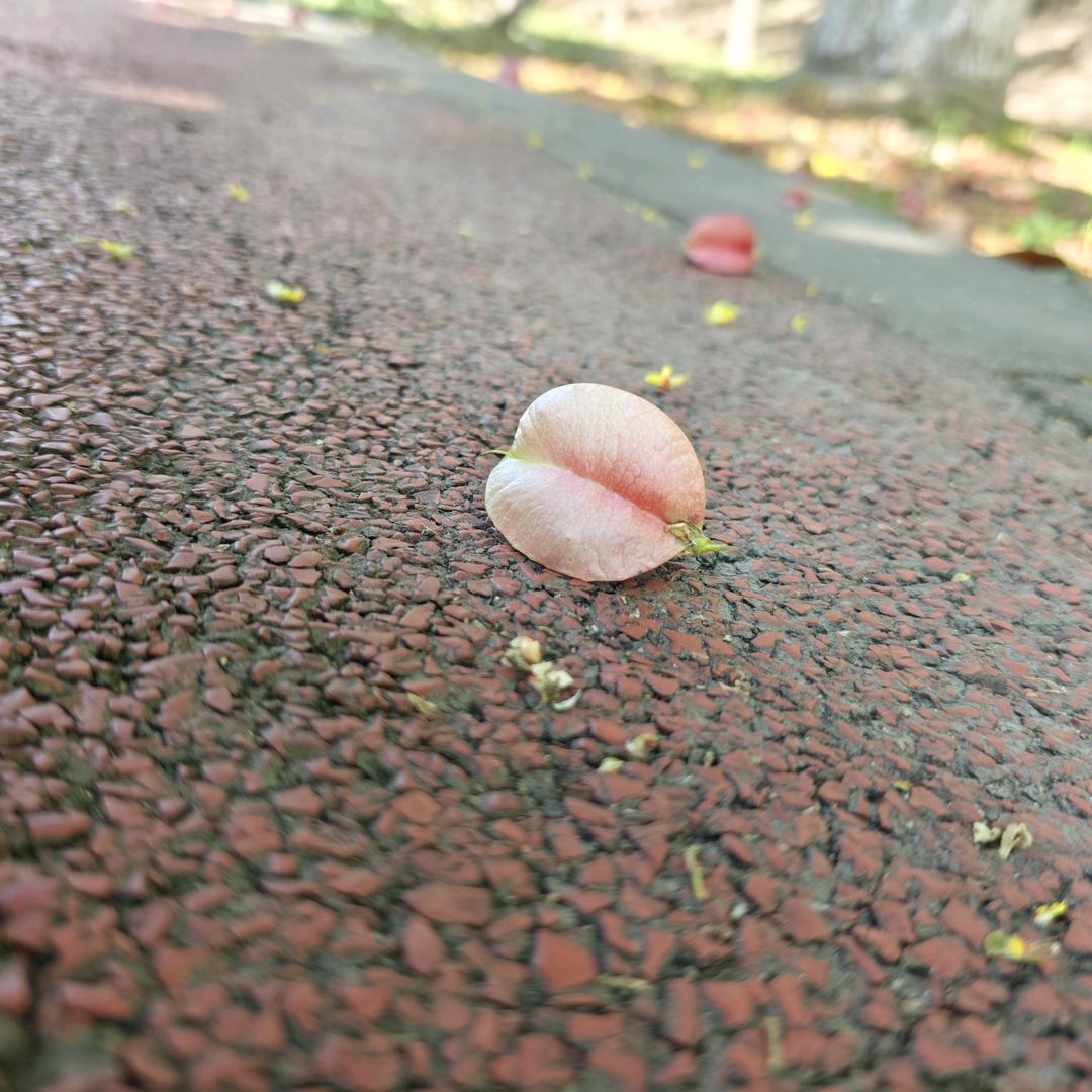橙 ~ 沉 ~ 陈 吖！