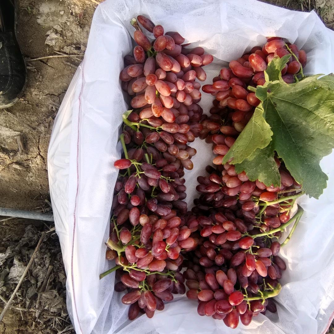 渭南任拴平优农业发展有限公司