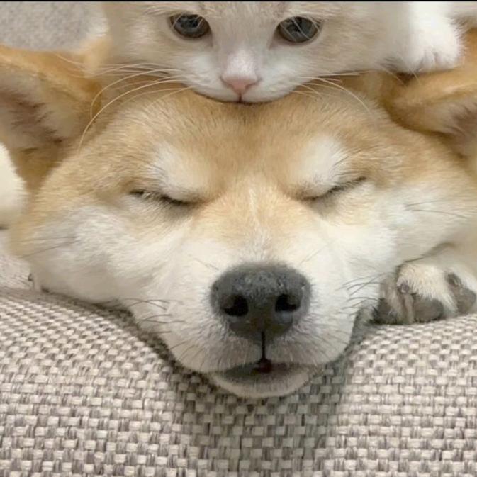 祈