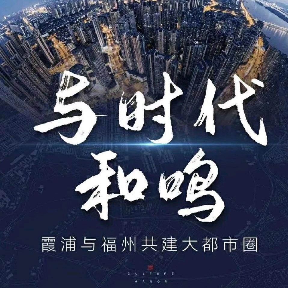 霞浦钢铁直男-小黄