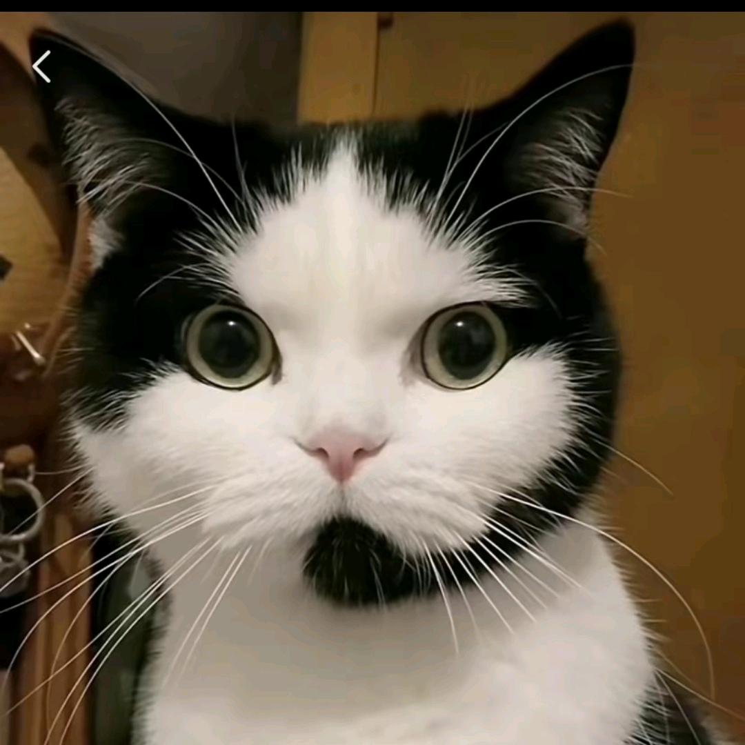 。。。。。。。