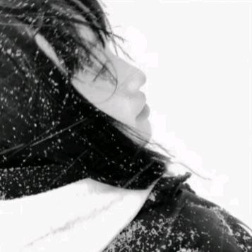 情介