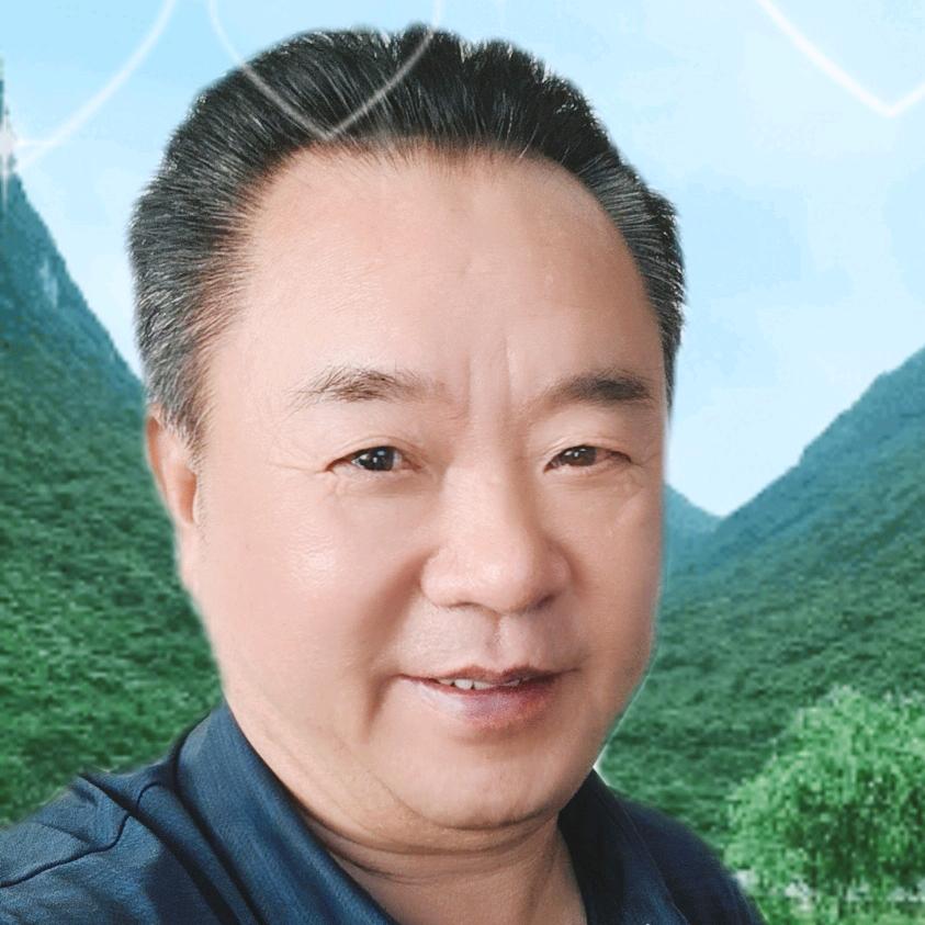 理想