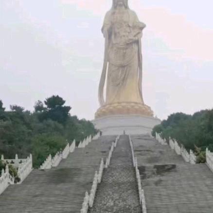 心证菩提