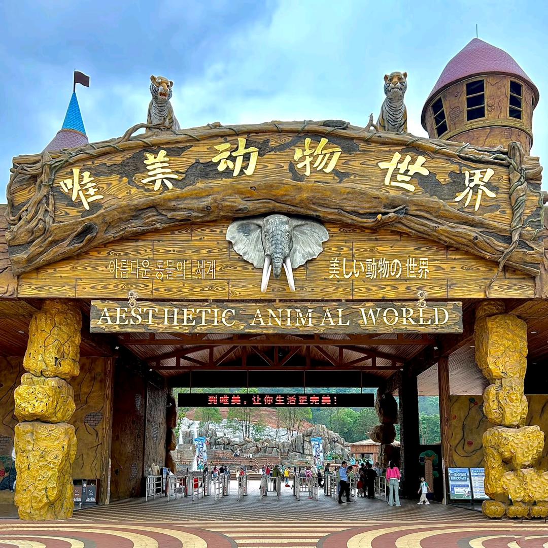 江西唯美动物世界团购（阿俊）