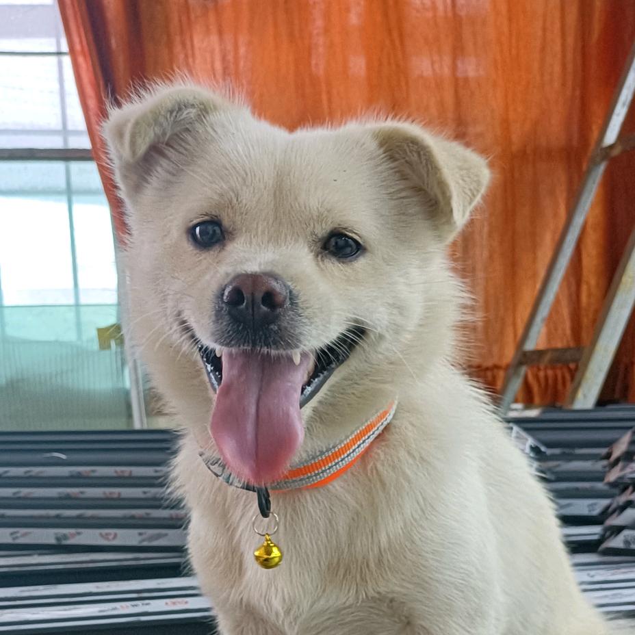 轵爱零食铺子Changer～