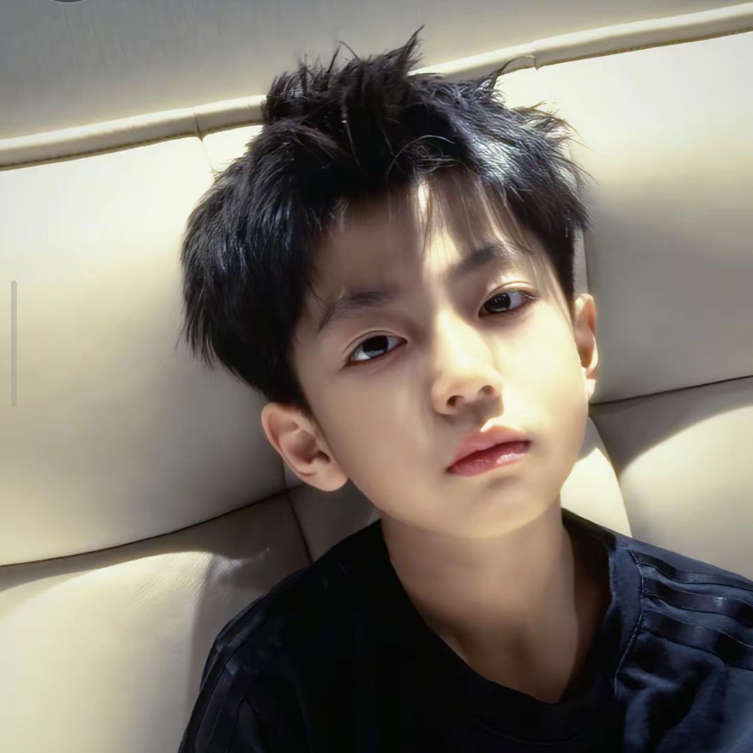 Precipitationの大雪日