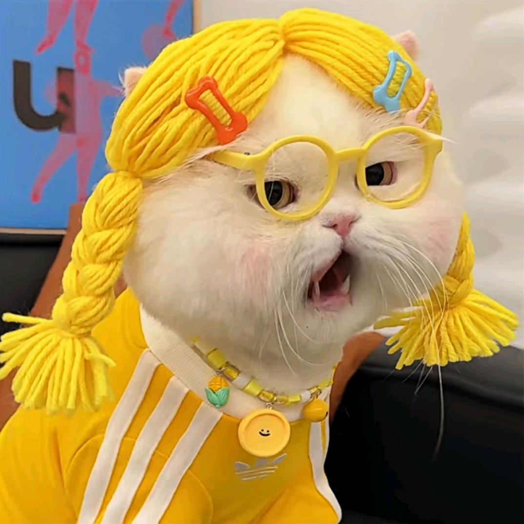 小咖张