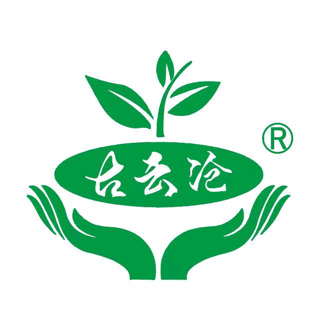 古云沧普洱茶非遗云南中国农业大学头雁产品