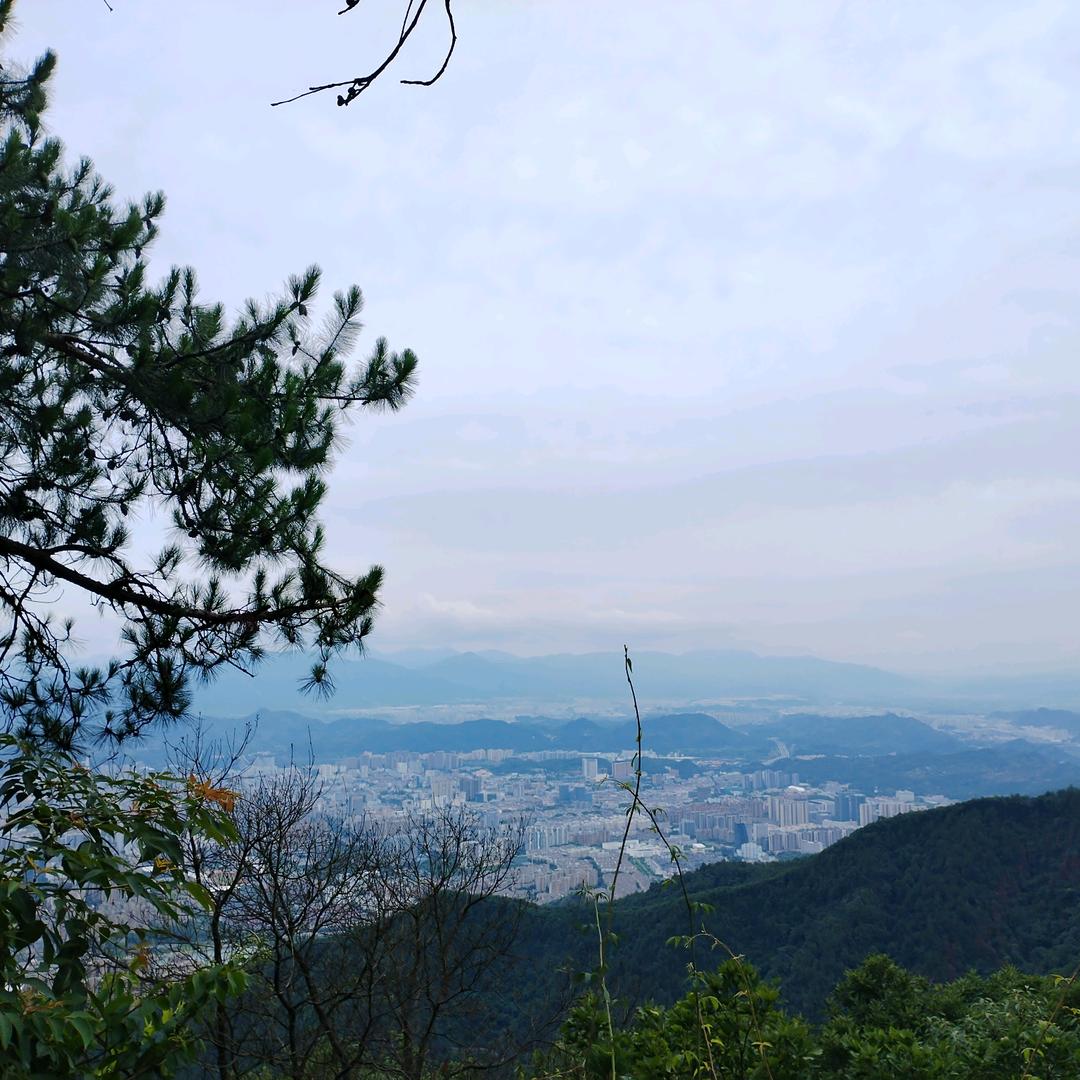 山歌小罗