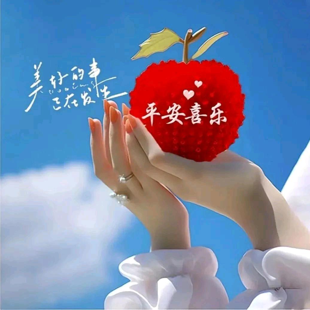 enzelin84216