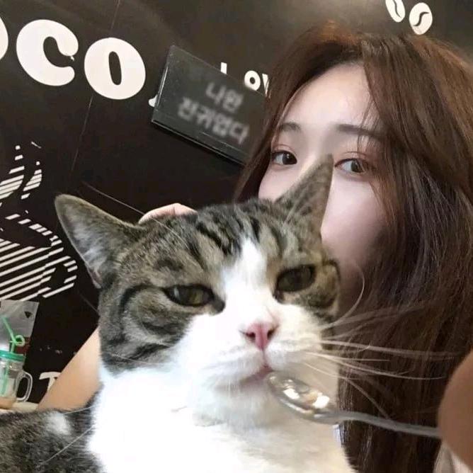 养只猫叫乐乐