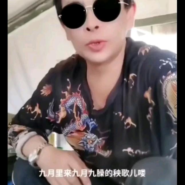 张哥主播