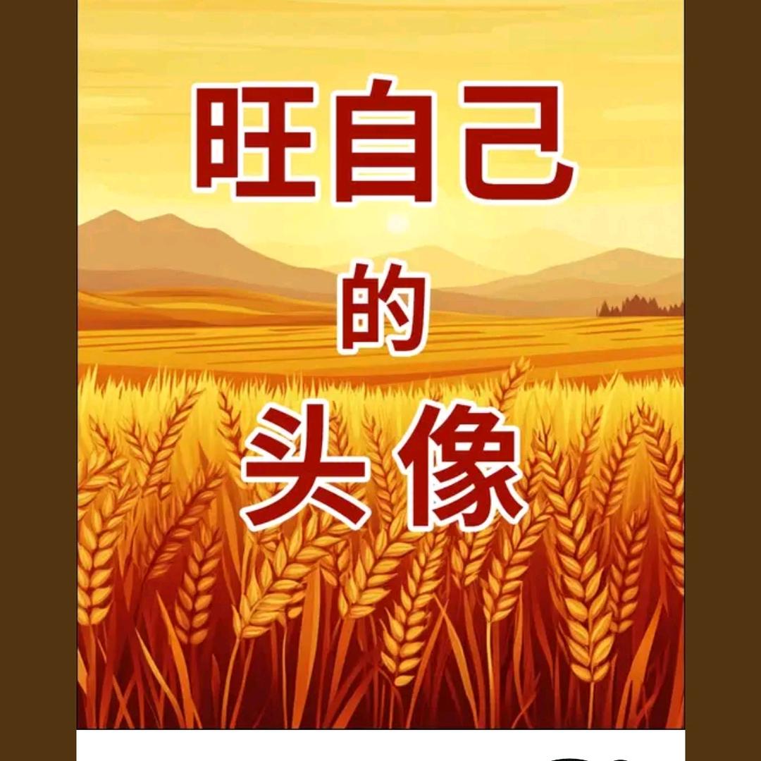 五姐