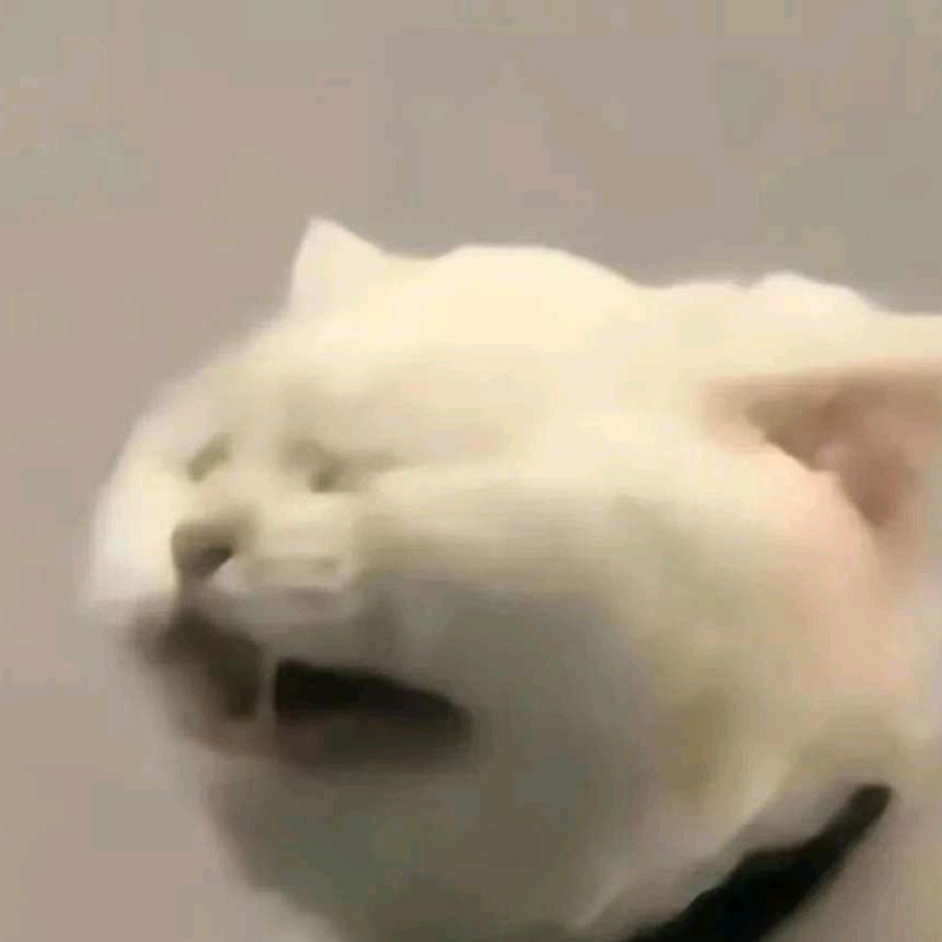 烦人的梵星