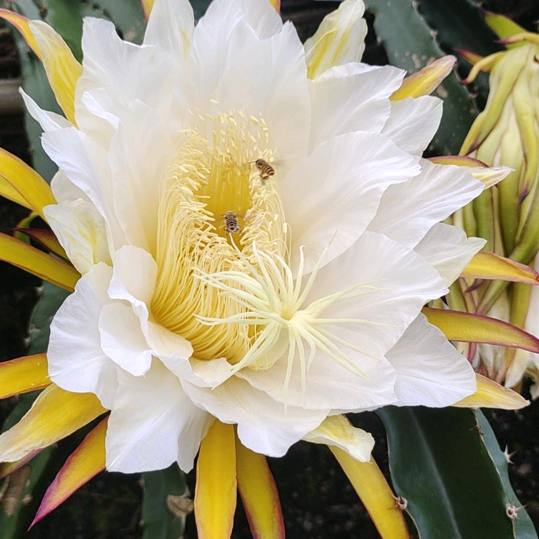 💓情何以堪💓