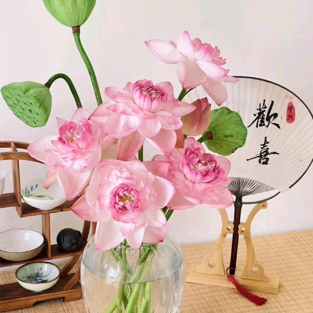 ღ᭄好运加满꧔ꦿ᭄
