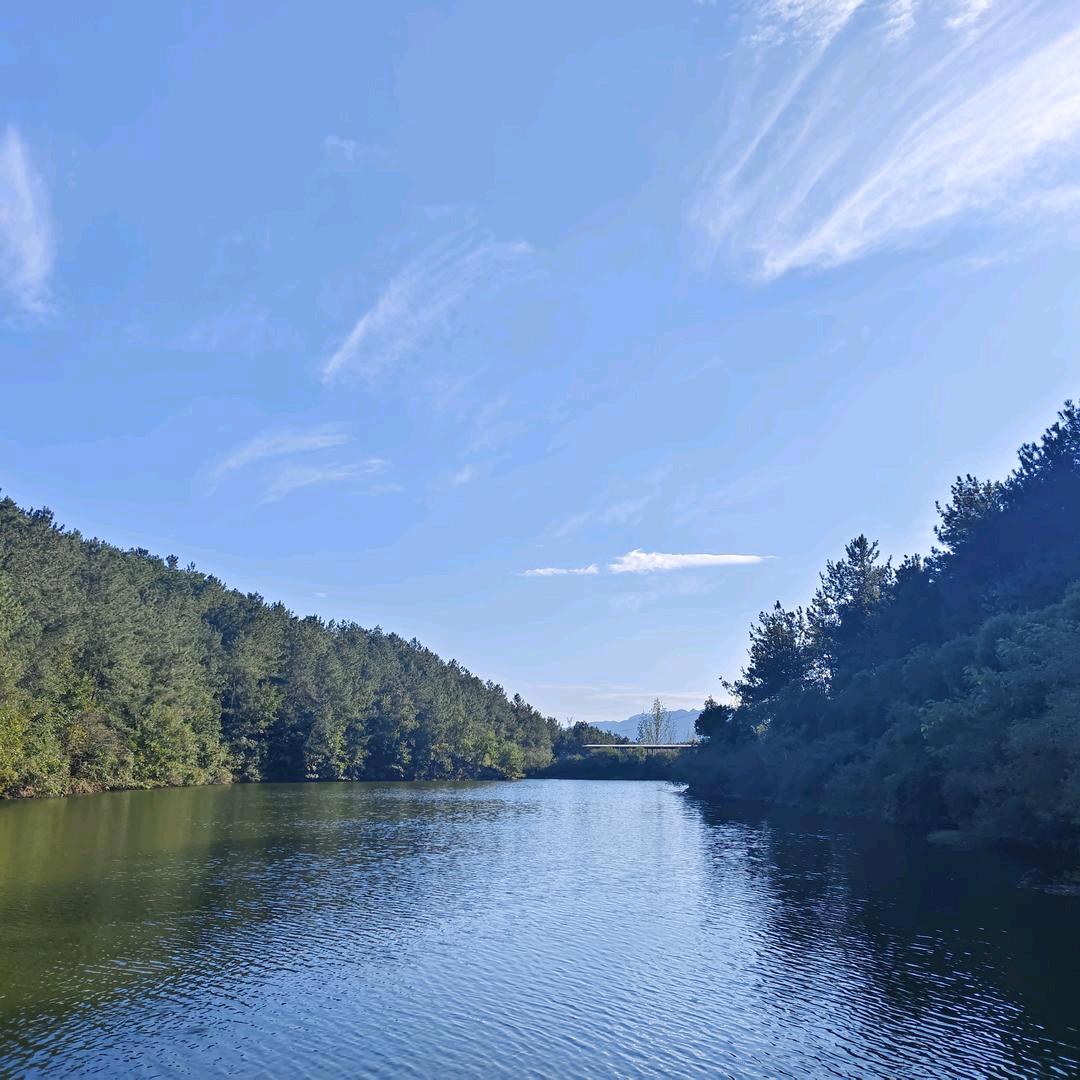 🌈🌈老王夸我帅🌈🌈