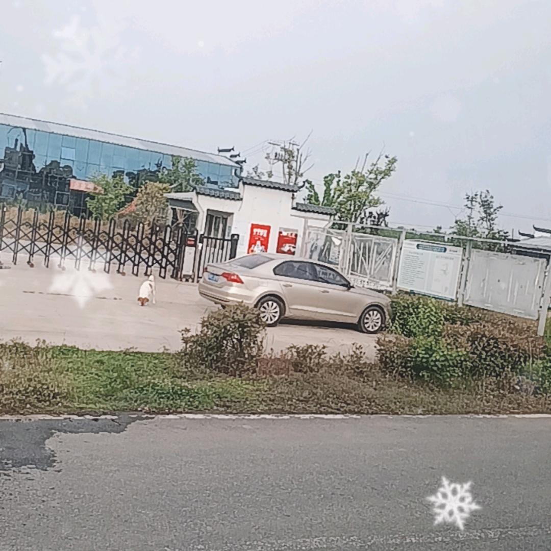 李姐《🐰》