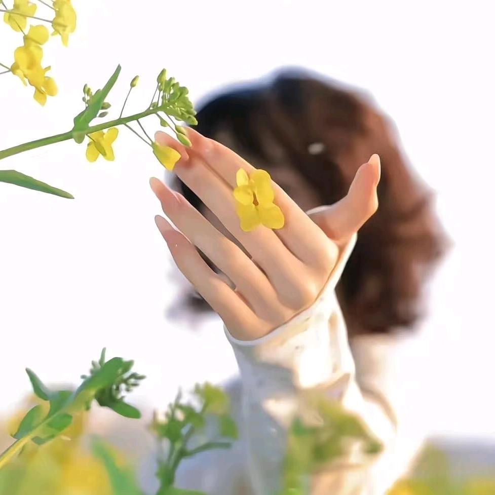 十一