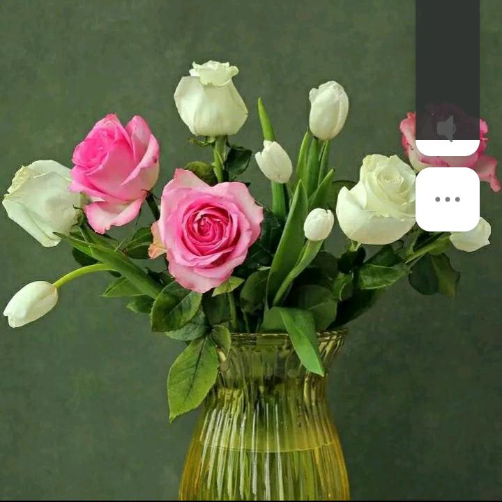 我是狼19196962828